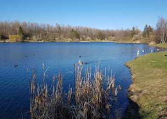 Město Opava investuje do nemovitosti u Stříbrného jezera