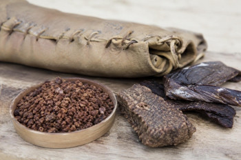 Pemmican. Jídlo indiánů, které poráží moderní survival Pemmican. Jídlo indiánů, které poráží moderní survival